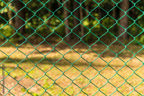  Fence from the grid with green polymer coating