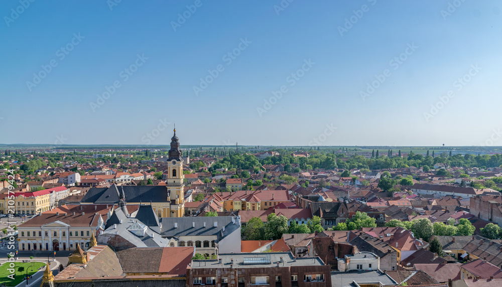 Oradea - St. Nicholas Cathedral viewed from above, Romania