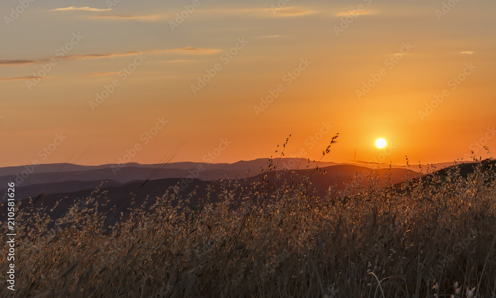 The golden sunrise in the fields
