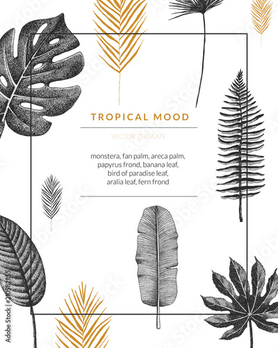 Vector contemporary greeting card with tropical graphics in vintage style. Hand drawn exotic plant template for birthday, business, anniversary, wedding, party invitation, holidays.