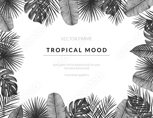 Tropical vector template background with vintage exotic plants. Hand drawn retro styled frame graphic.