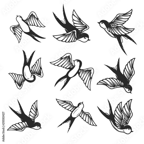 Set of swallow illustrations on white background. Design element or poster, card, print, emblem, sign.