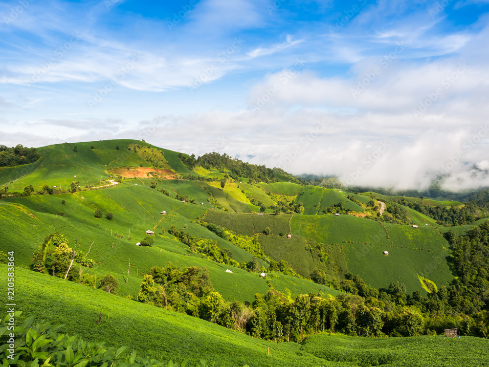 A landscape view of nature of green mountain at sunrise morning time with clear blue sky