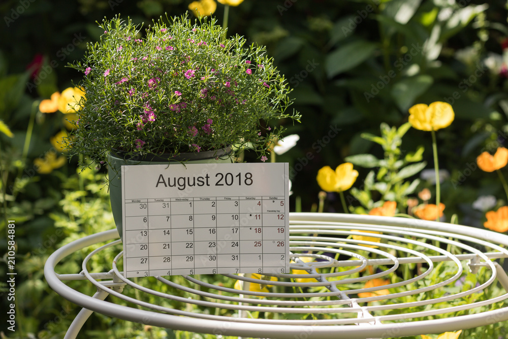 Calendar of the month August 2018 is on a garden table among flowers. Concept: English garden & summer. - obrazy, fototapety, plakaty 