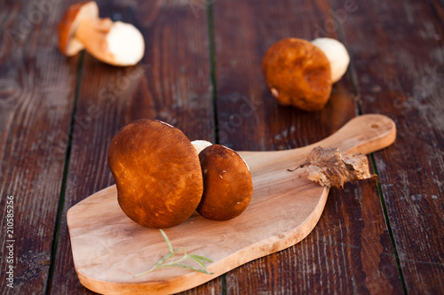 boletus edulis over Wooden Background. Autumn Cep Mushrooms. Cooking delicious organic mushroom. Gourmet food