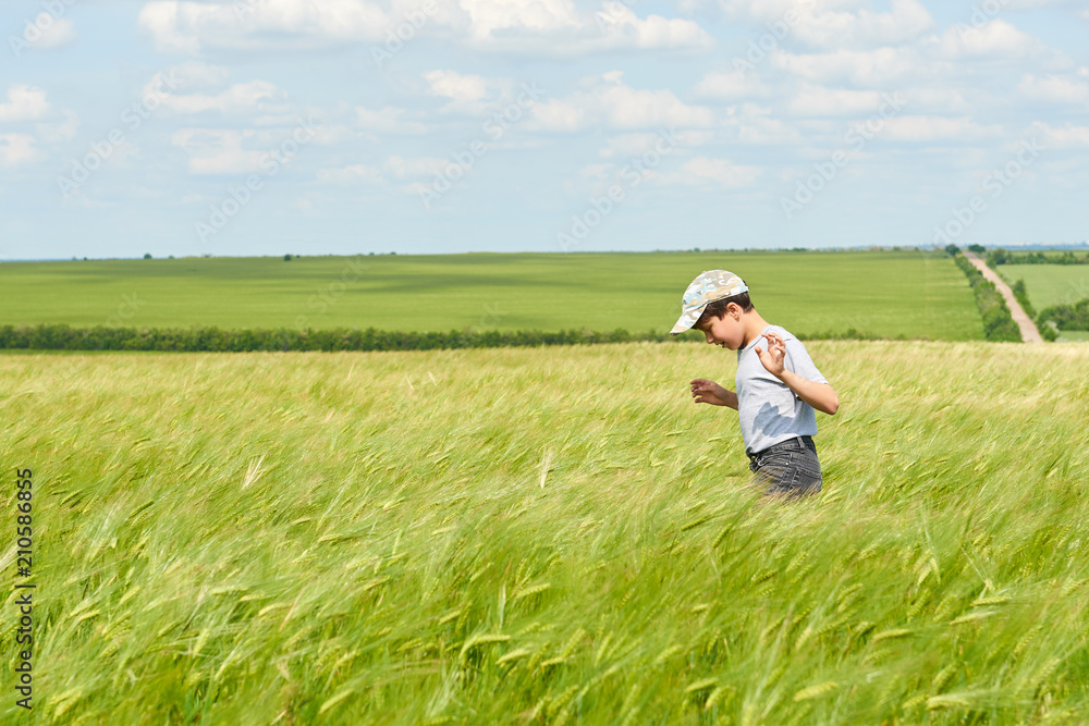 child walking through the wheat field, bright sun, beautiful summer landscape child walking through the wheat field, bright sun, beautiful summer landscape