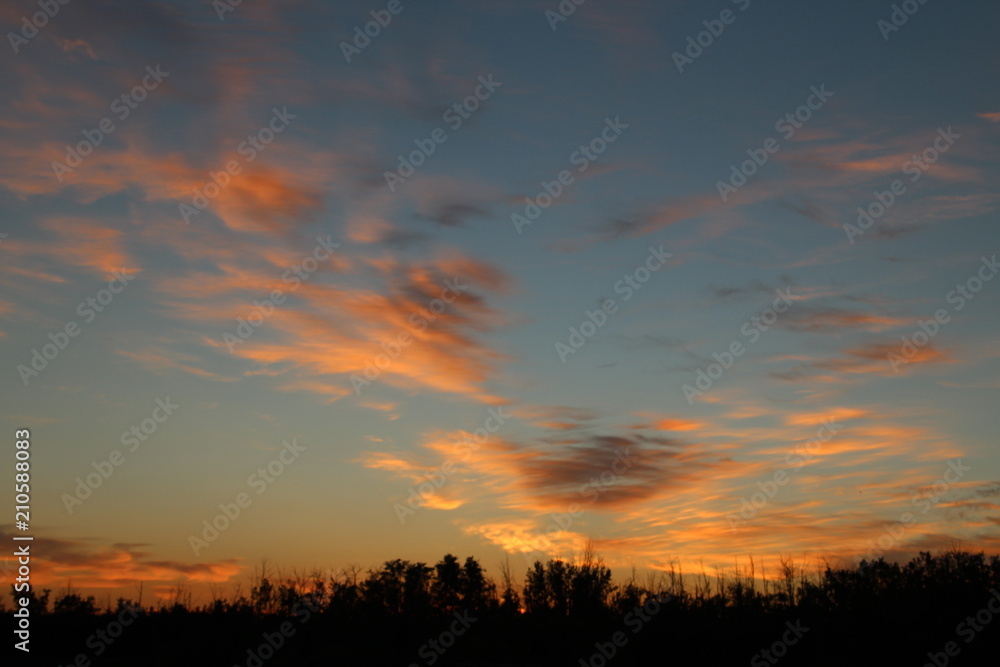 Sunset Colours Over The Tree Line, Pylypow Wetlands, Edmonton, Alberta
