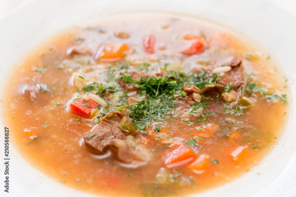 Meat soup with vegetables close-up