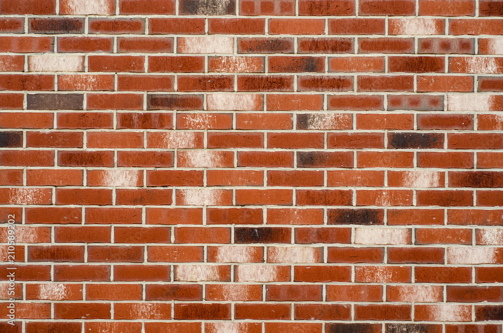 Obraz premium Brick wall red white texture structure background