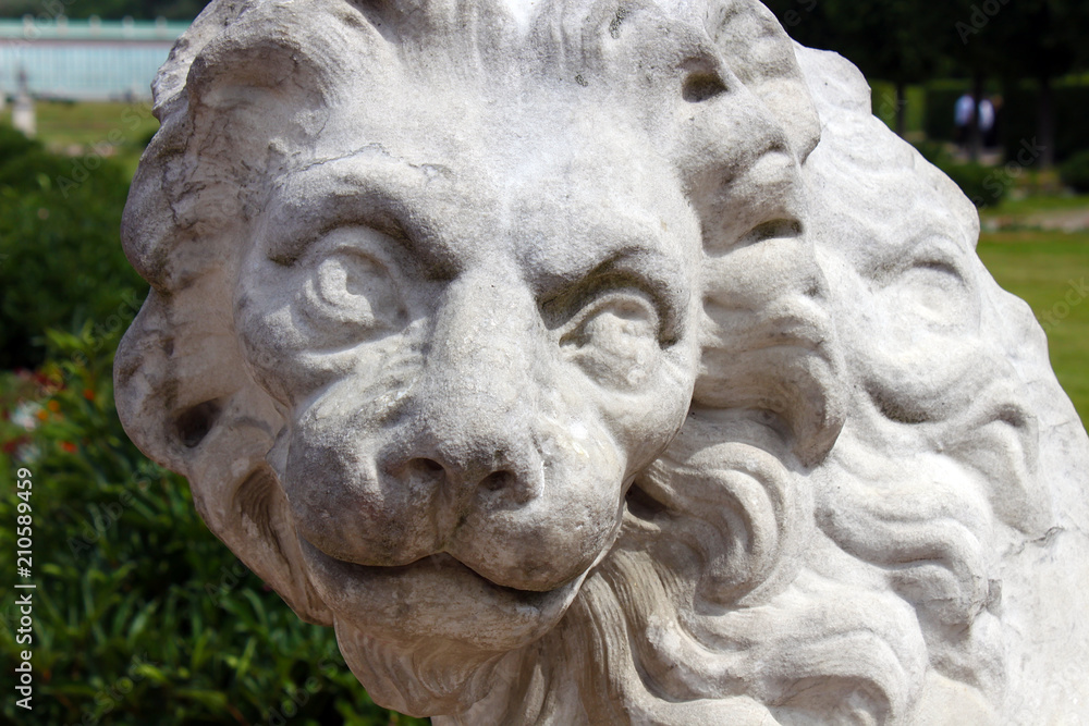 Head of stone lion
