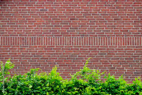 Grunge red brick wall background with copy space © Oleksandr