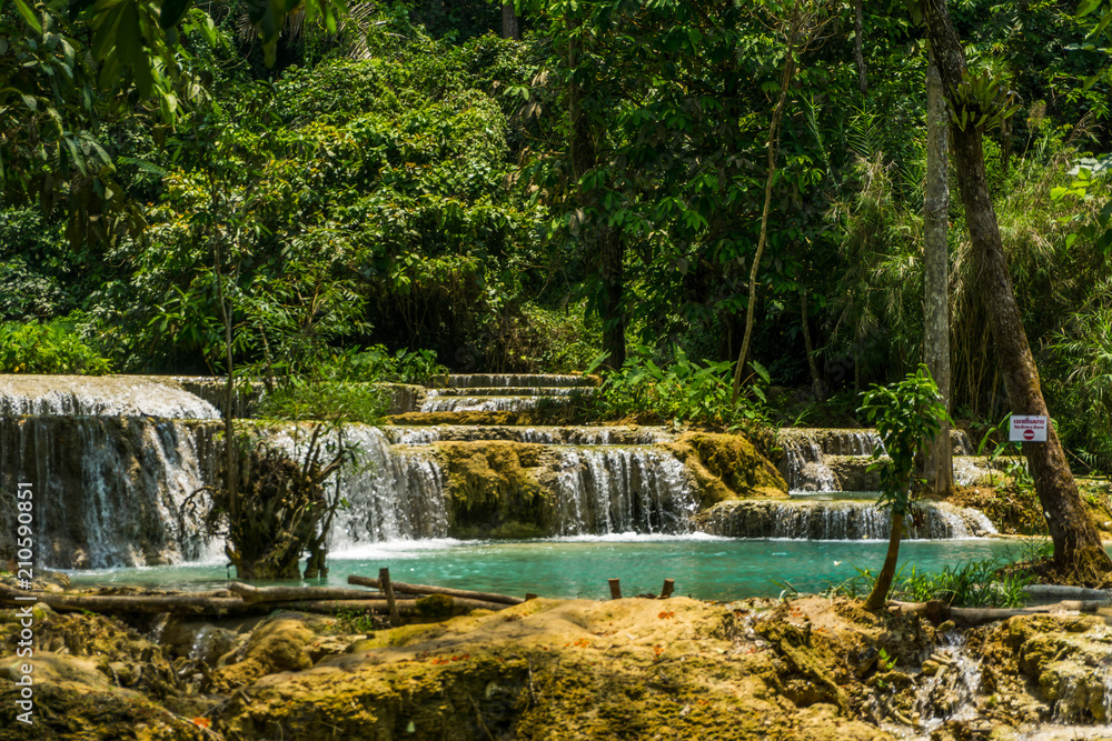 Obraz premium Tad Kwang Si (Xi) the biggest water fall land mark in Luang Prabang, Laos ,beautiful turquoise color water at tropical forest in north Lao, for use as a background or travel advertisement image