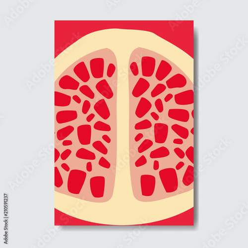 cut garnet template card, slice fresh fruit poster on white background, magazine cover vertical layout brochure poster, flat design, healthy lifestyle or diet concept vector illustration