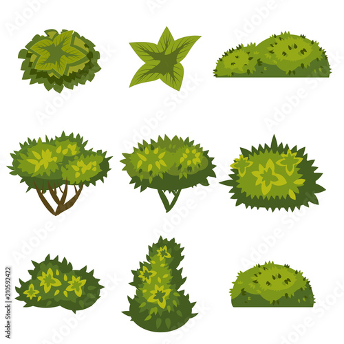 Photo Set of bushes in cartoon style for decoration on your works, grass in cartoon st