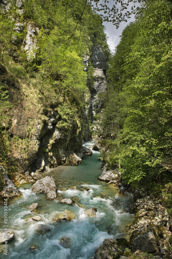 Fototapeta premium Tolminska Korita - Tolmin Gorge. Slovenia