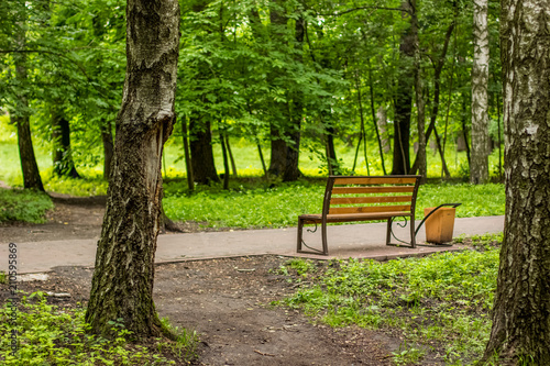 Fototapeta Naklejka Na Ścianę i Meble -  summer green nature outdoor park concrete empty road with wooden bench