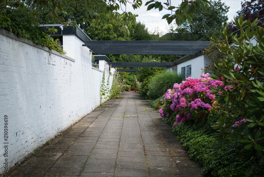 Back yard of the house in the form of an avenue, with plants and flowers, Germany, Hamburg.