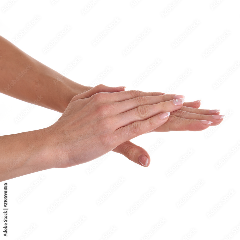 women's hands isolated