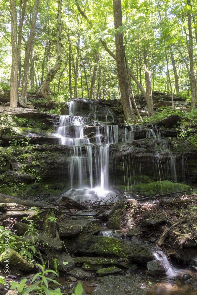 Obraz premium Gunn Brook Falls