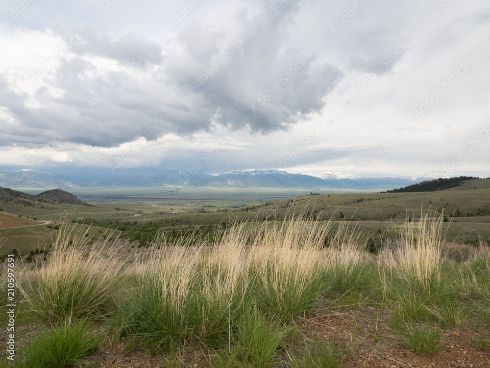 Prairie Grass with Mountain Range in the Background