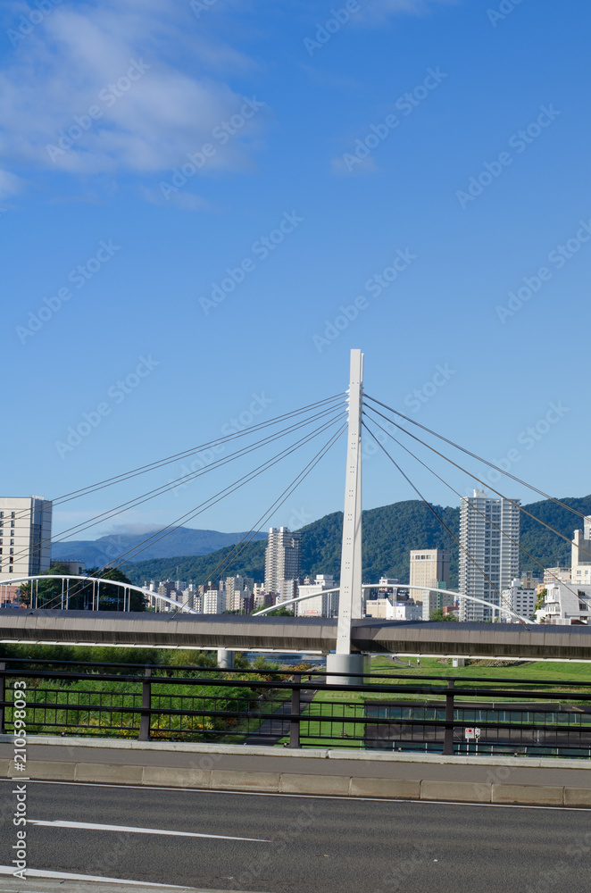 Fototapeta premium 橋の風景