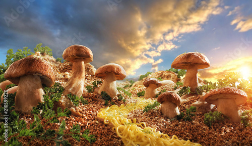 Грибы на поляне из гречки mushrooms in the glade of buckwheat