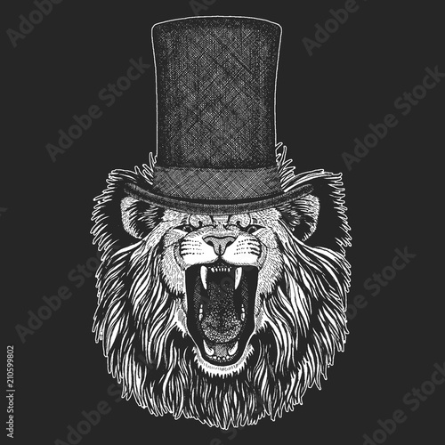 Lion Top hat, cylinder. Hipster animal, gentleman. Classic headdress. Print for children t-shirt, kids clothing.