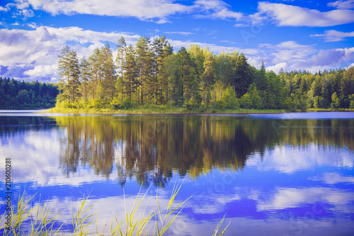 Fototapeta Naklejka Na Ścianę i Meble -  A beautiful forest lake with an island on a summer day