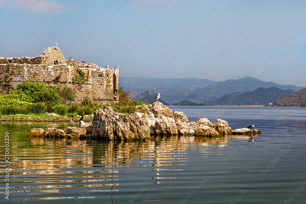 Skadar lake in Montenegro.