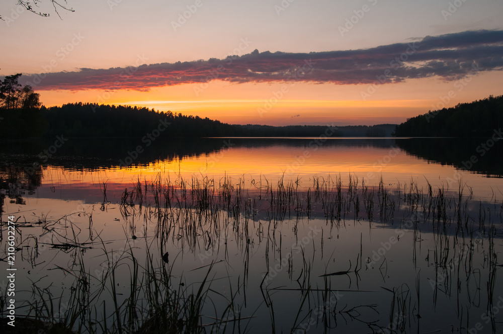 Beautiful sunset on the lake. Reeds in the water, forest and red orange and pink cloudy sky.