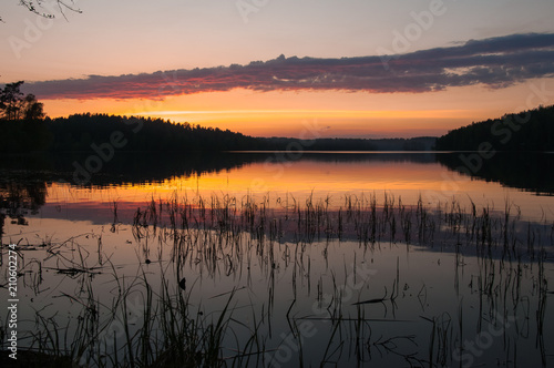 Beautiful sunset on the lake. Reeds in the water, forest and red orange and pink cloudy sky.