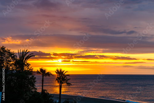 Fototapeta Naklejka Na Ścianę i Meble -  Silhouette of palm trees at sunset, Spain