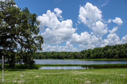 Withlacoochee State Forest