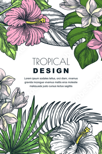 Poster, banner or greeting card frame with tropical palm leaves and flowers. Vector hand drawn sketch illustration