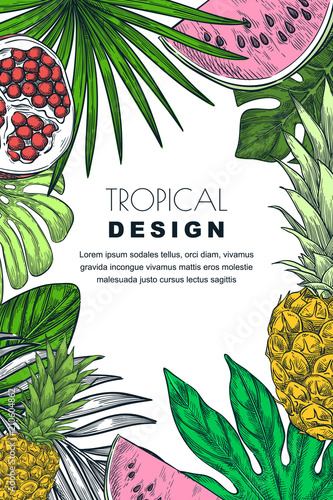Poster, banner or greeting card frame with tropical palm leaves, pineapple, watermelon. Vector sketch illustration