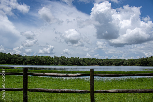 Withlacoochee State Forest