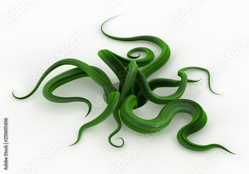 Plant Vines Green, Emerging Many