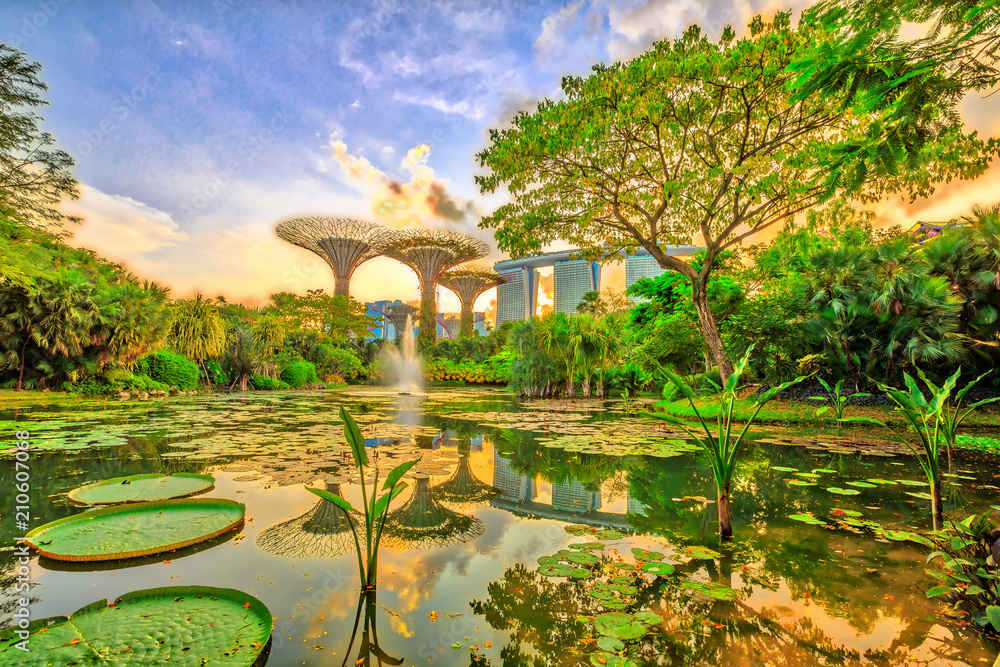 Naklejka premium Niebieska godzinna panorama Gardens by the Bay z niebieskim i fioletowym oświetleniem oraz nowoczesnym wieżowcem odbijającym się w stawie Water Lily Pond o zachodzie słońca. Obszar zatoki Marina w środkowym Singapurze, w Azji Południowo-Wschodniej.
