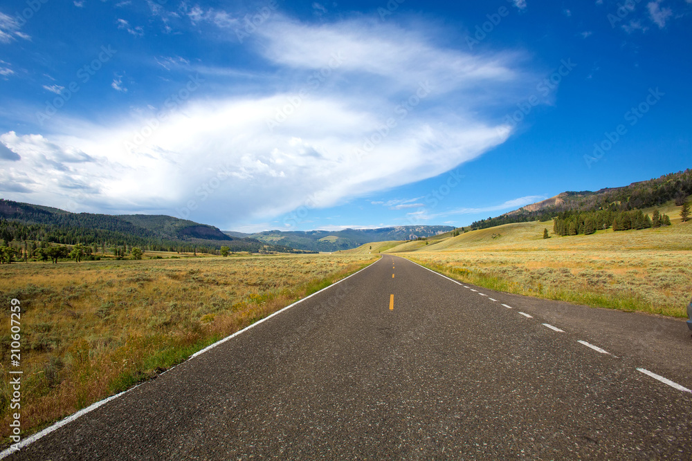 Road Along Yellowstone National Park