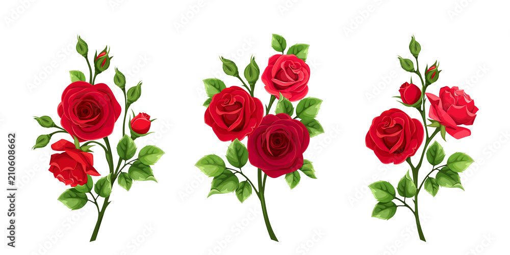 Vector set of branches of red roses isolated on a white background. - obrazy, fototapety, plakaty 