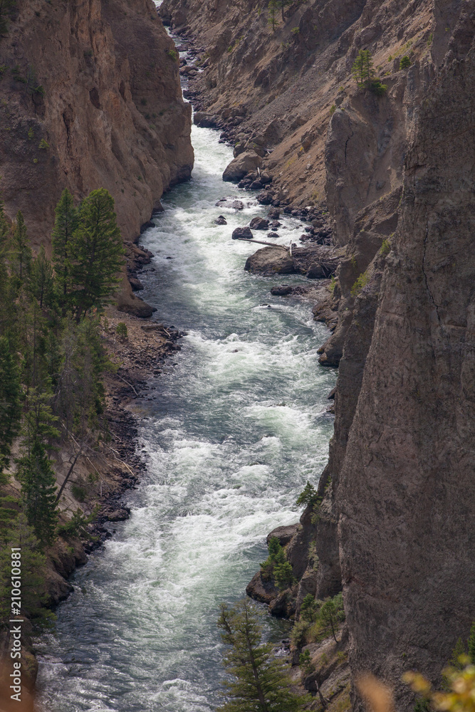Obraz premium Grand Canyon of the Yellowstone in Yellowstone National Park, Wyoming.