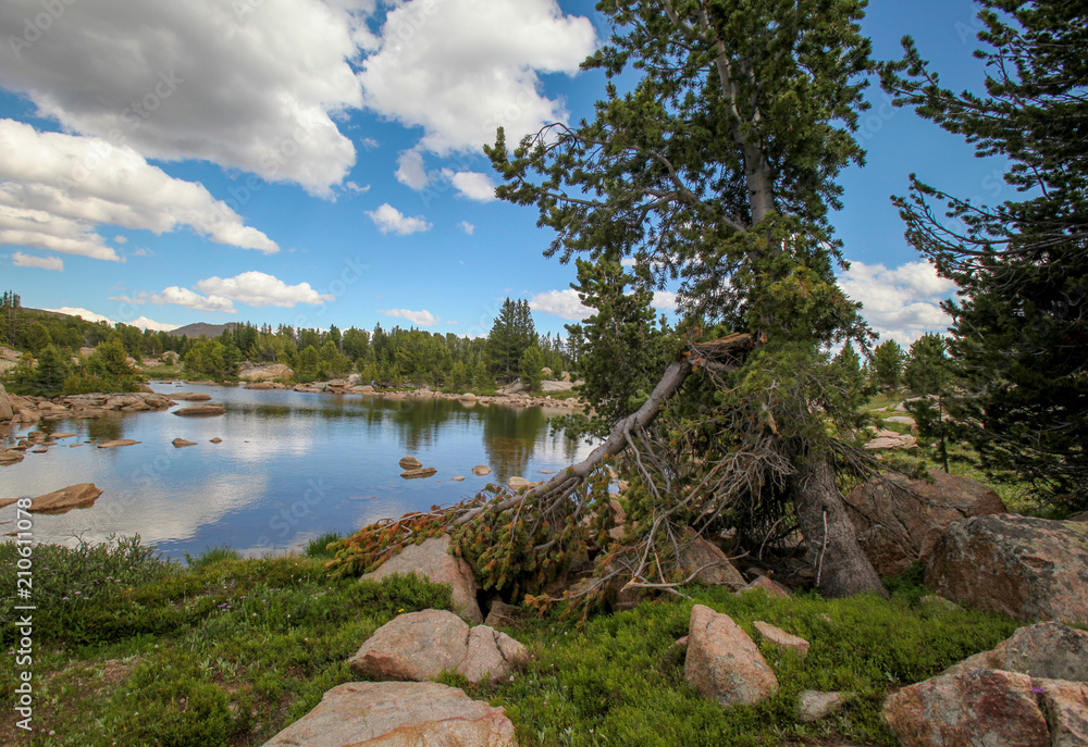 Scenic view along the Beartooth Highway in Montana. Scenic view along the Beartooth Highway in Montana.