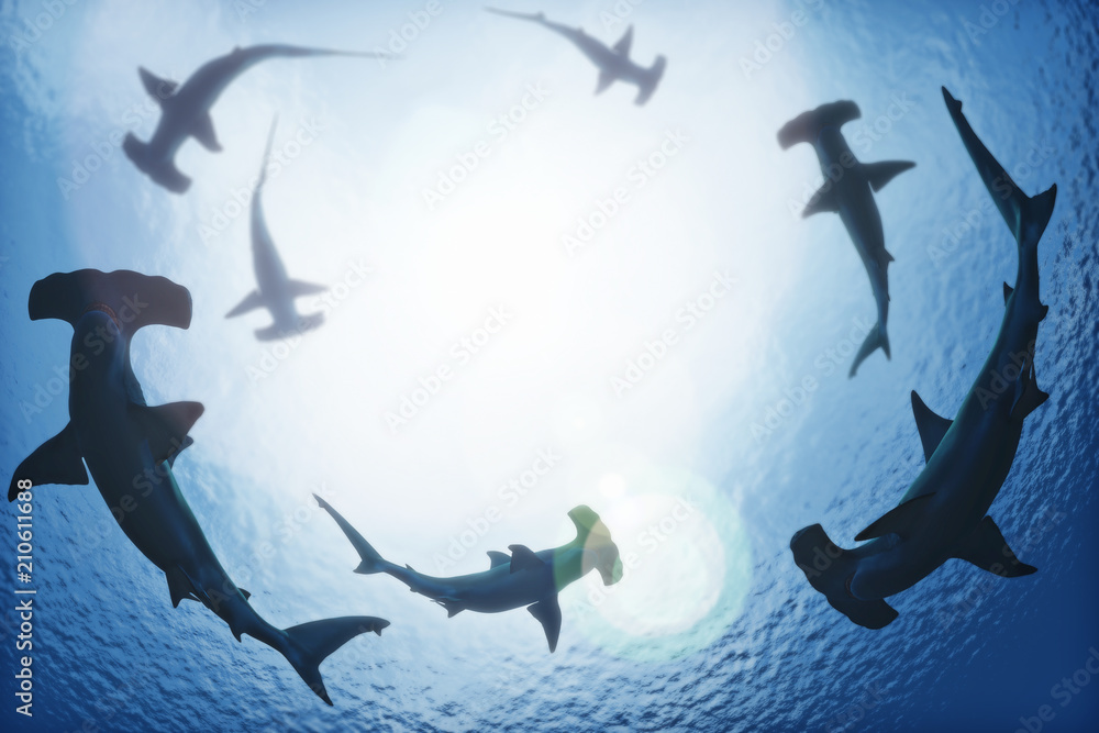 Obraz premium Szkoła rekinów młotów krążących z głębin oceanu. Renderowanie 3d
