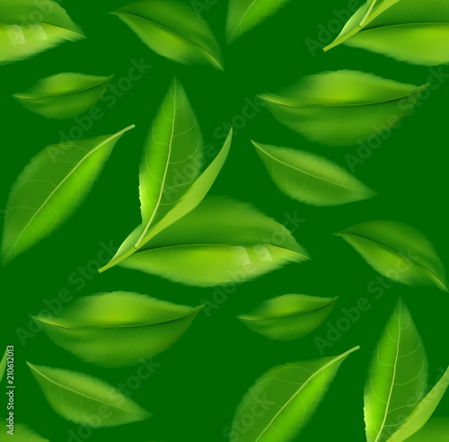 nature leaves green tea on spring  background.