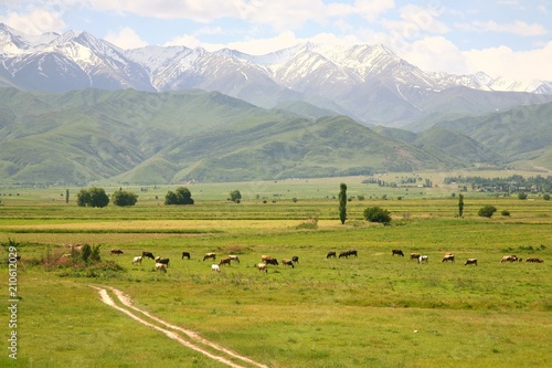 The beautiful scenic in Bishkek with the Tian Shan mountains of Kyrgyzstan