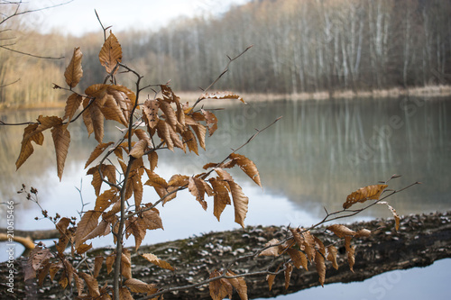 Autumn Reflection