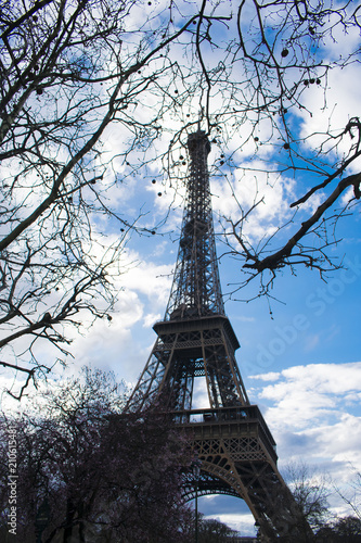 Peering Up at Eiffel Tower