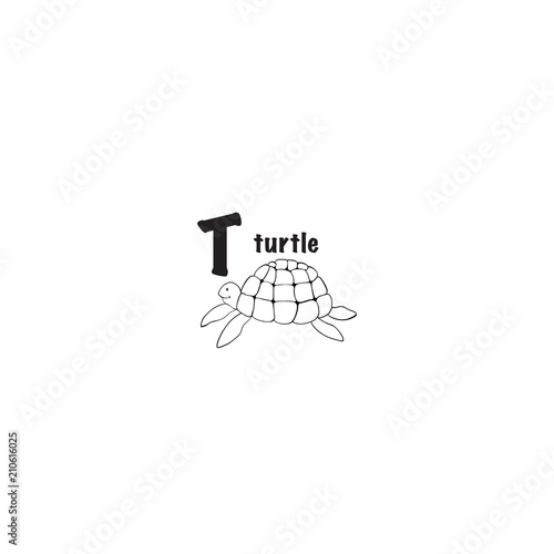 Turtle coloring page