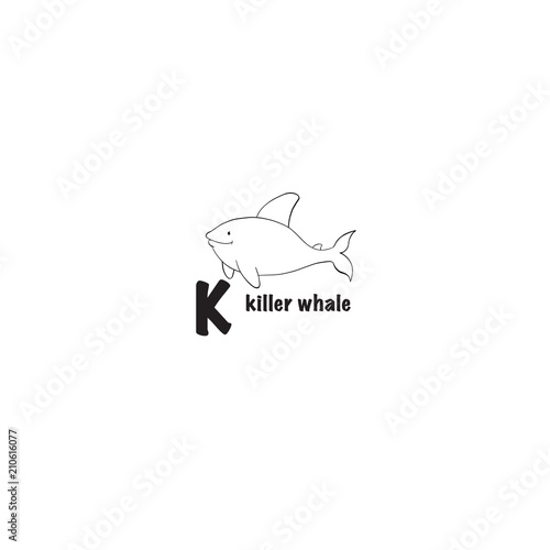 Killer whale icon