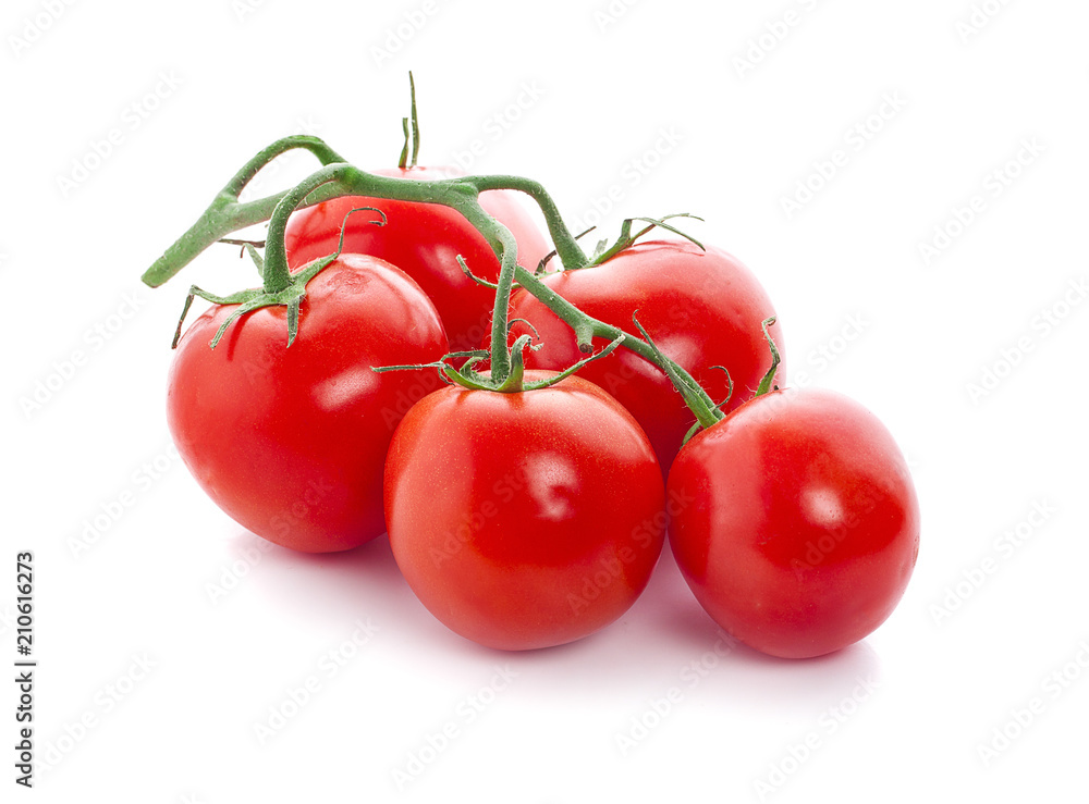 tomatoes isolated on the white background tomatoes isolated on the white background